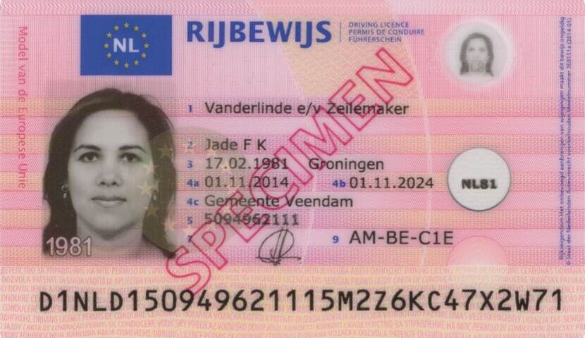 Buy Dutch Drivers License Online Now